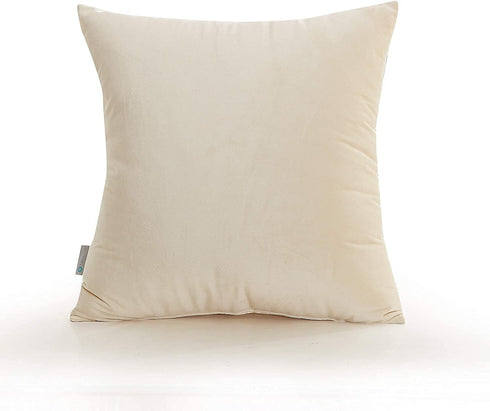 Acanva Solid Velvet Soft Decorative Throw Pillow, 18 x 18 in, Cream