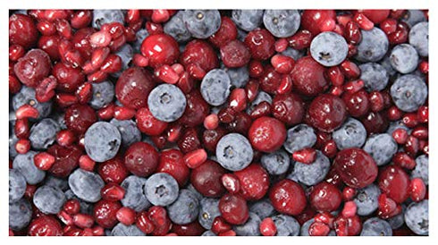 Stoneridge Orchards Whole Dried Berry Mix 5 oz - Cranberries, Montmorency Cherries, Blueberries, Strawberries, Raspberries