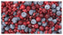 Stoneridge Orchards Whole Dried Berry Mix 5 oz - Cranberries, Montmorency Cherries, Blueberries, Strawberries, Raspberries