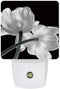 Plug-in Night Light Lamp with Sensor, Flower Art Grey and White Tulip, Wall LED Nightlights Auto Dusk to Dawn Sensor for Bedroom, Baby Nursing, Bathroom, Hallway, Stairs Home Decorative Black