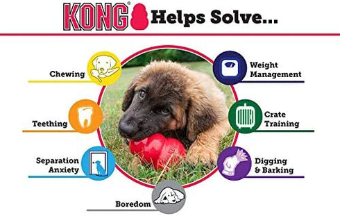 KONG - Puppy Toy Natural Teething Rubber - Fun to Chew, Chase and Fetch (Color May Vary) - for Extra Small Puppies