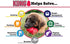 KONG - Puppy Toy Natural Teething Rubber - Fun to Chew, Chase and Fetch (Color May Vary) - for Extra Small Puppies