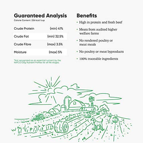 Open Farm Freeze Dried Raw Dog Food, Humanely Raised Meat Recipe with Non-GMO Superfoods and No Artificial Flavors or Preservatives, Grass Fed Beef Recipe Freeze Dried - 3.5oz