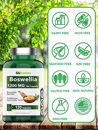 Boswellia Serrata Herbal Extract Capsules | 1200 MG/Capsule (120 Capsules) | Joint Support Supplement* | Promotes Mobility & Flexibility* | Ayurvedic Herb: Indian Olibanum/Frankincense | TNVitamins