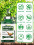 Boswellia Serrata Herbal Extract Capsules | 1200 MG/Capsule (120 Capsules) | Joint Support Supplement* | Promotes Mobility & Flexibility* | Ayurvedic Herb: Indian Olibanum/Frankincense | TNVitamins