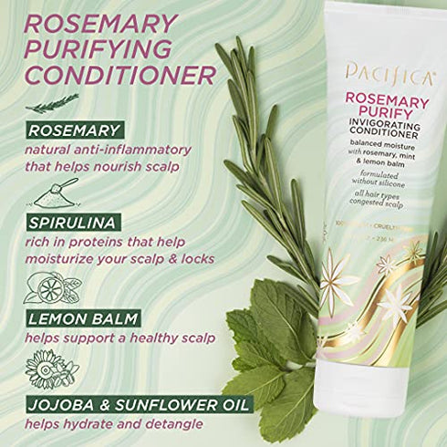 Pacifica Beauty, Rosemary Purify Invigorating Conditioner, Soothing Mint, Hydrate and Nourish Scalp, Lightweight, Detangle, Sulfate Free, Silicone Free, Vegan & Cruelty Free