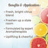 Plant Therapy Citrus Burst Synergy Essential Oil Blend 10 mL (1/3 oz) 100% Pure, Undiluted, Therapeutic Grade