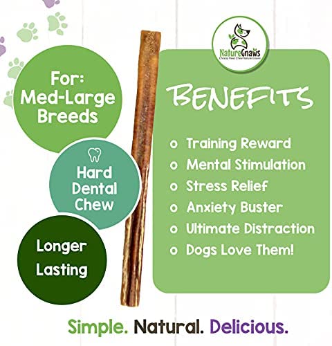 Nature Gnaws Bully Sticks for Large Dogs - Premium Natural Beef Dental Bones - Thick Long Lasting Dog Chew Treats for Aggressive Chewers - Rawhide Free