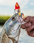 Bomber Lures Badonk-A-Donk High Pitch Saltwater Grade, (3-1/2-Inch) - Silver Flash/Blue Back