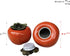 2 PackCeramic tea Storage Container Tea tins,Tea Seal Jar and well-made cute Persimmon Canister, Tea caddy with Lid Kitchen be a suitable container for loose tea, herbs, spices, salt
