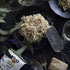 Koyo Reduced Sodium Garlic and Pepper Ramen Made with Organic Noodles 2.1, pepper,garlic, 25.2 Ounce, (Pack of 12)