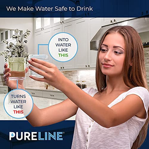 PureLine WFCB & NGRG 2000 Water Filter Replacement. Compatible with WF1CB, WFCB, NGRG 2000, RG-100 (2 Pack)