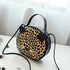 Cute Cat Purse Leopard Crossbody Bag Mini Shoulder Bag Handbags for Kids Women Teens Girls (Brown)