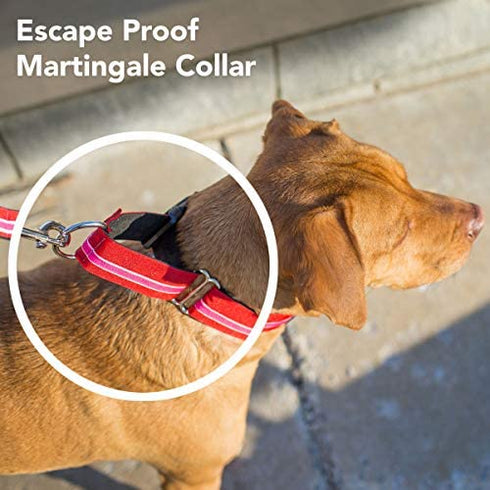 If It Barks - 1.5" Martingale Collar for Dogs - Adjustable - Nylon - Strong and Comfy - Ideal for Training - Made in USA - Large Finley