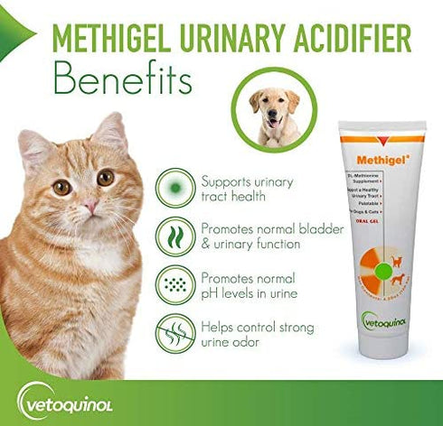 Methigel Urinary Acidifier 4.25 Oz Tube