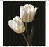 Black and White Flower Shower Curtain Tulip Elegant Floral Romantic Woman Modern Unique Simple Black Background Fashion Fabric Bathroom Decor Set with Hooks(70" WX70 H)