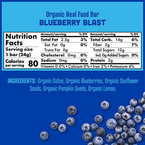 Skout Organic Blueberry Blast Real Food Bars for Kids (6 Pack) | Organic Snacks for Kids | Plant-Based Nutrition, No Refined Sugar | Vegan & Paleo | Gluten, Dairy, Grain, Peanut, Tree Nut & Soy Free