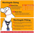 If It Barks - 1.5" Martingale Collar for Dogs - Adjustable - Nylon - Strong and Comfy - Ideal for Training - Made in USA - Large Finley