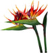 Large Bird of Paradise 32 Inch Permanent Flower ,Flower Stem 0.5 Inch ,UV Resistant No Fade Flower Part is Made of Soft Rubber PU,Artificial Flower Plants for Home Office 2 Pcs (Orange red)