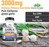 Odorless Pure Garlic 3000 mg per Serving Maximum Strength 150 Soft gels Promotes Healthy Cholesterol Levels Immune System Support