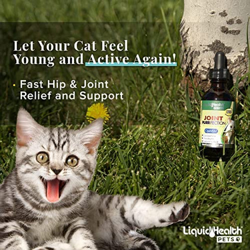 LIQUIDHEALTH 2.3 Oz Liquid Cat Glucosamine Joint Purr-Fection - Hip and Joint Health Relief Support, Chondroitin Feline Droppers -Senior Older Cats, Kittens