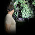 Bell + Howell Taclight Headlamp, Hands-Free Security Flashlight with Zoom Function and Movable Lens, Super Bright LED Bulbs in 3 Modes One-Size-Fits All As Seen On TV (40x Brighter)