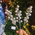 24 pcs Christmas Berries Stems Artificial Berry Stems for Christmas Tree Ornaments Crafts Holiday and Home Decor (Silver)
