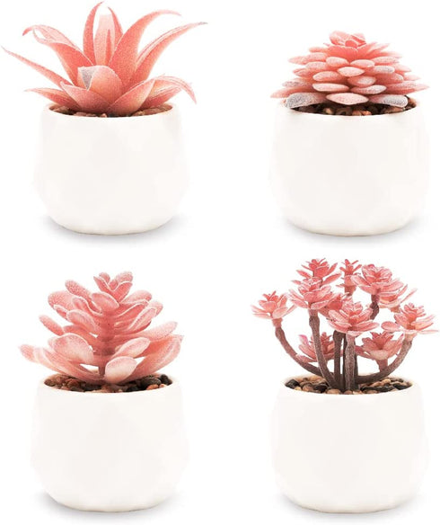 VIVERIE Faux Succulents in White Ceramic Pots (Set of 4) - Mini Life-Like Artificial Succulent Plants for Office Desk, Home Shelves, and Other Decoration Spaces