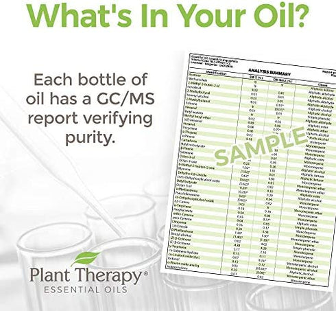 Plant Therapy Citrus Burst Synergy Essential Oil Blend 10 mL (1/3 oz) 100% Pure, Undiluted, Therapeutic Grade