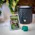 The Candle Daddy Balsam Pine Scented Wax Melts - 2 Ounce - 6 Cubes - 1 Pack