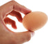 Liberty Imports Bulk Set of 24 Pcs Bouncy Eggs Realistic Fake Rubber Bouncing Balls (Brown)