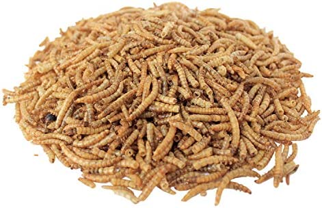 Downtown Pet Supply Dried Mealworms - Rich in Vitamin B12, B5, Protein, Fiber and Omega 3 Fatty Acids - Chicken, Duck and Bird Food - Reptile and Turtle Food - 1/2 lbs
