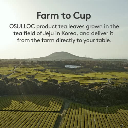 OSULLOC Honey Pear Tea, Premium Organic Blended Tea from Jeju, Tea Bag Series 20 count, 1.06 oz, 30g