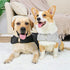 Apetian Anxiety Vest for Dogs Thunder Jacket Calming Shirts for Dogs Anxiety Jacket Dog Compression Vest Calming Wrap (A1-Dark Grey, Large)