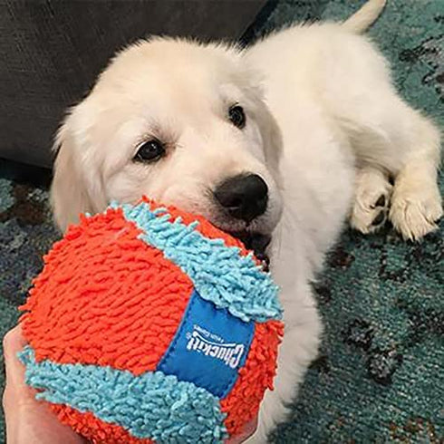 Chuckit! Indoor Ball Dog Toy, Soft Dog Toy (4.75 Inch)