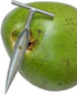 MetalCoco, Brazil's #1 Coconut Opener