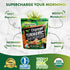 Organic Turmeric Tea Powder - Matcha Green Tea, Turmeric, Cinnamon, Ginger, Black Pepper - Natural Joint Support Supplement for Juice, Smoothie & Drinks - Vegan & Non-GMO - 30 Servings