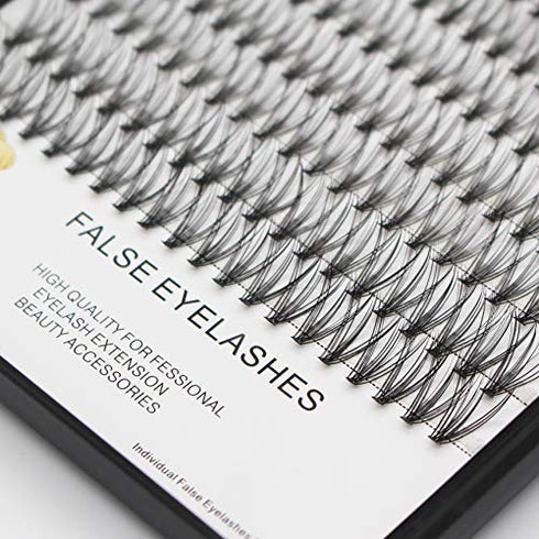 Bodermincer Large Tray 20D Cluster 0.07C,10 Lines,8-10-12-14mm Mixed,9-11-13-15mm Mixed, 10-12-14-16mm Mixed,Natural Long Individual Flare Lashes Cluster False Eyelashes (8-10-12-14mm Mixed)