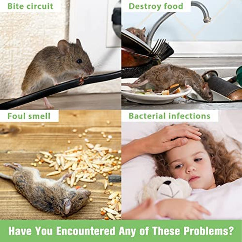 6 Pack Mouse Repellent Rodent Repellent, Peppermint Oil to Repel Mice and Rats, Mice Repellent Pest Insect Control