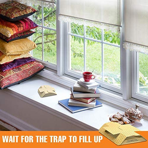 Harris Cricket Glue Traps, (2-Pack)