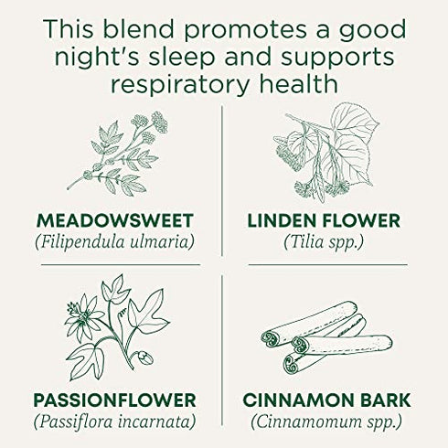 Traditional Medicinal's Gypsy Cold Care Herb Tea (3x16 bag)