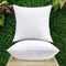 Lyweem 20 x 20 Pillow Inserts Decorative Throw Pillow Insert for Sofa Couch Bed Premium Hypoallergenic Stuffer Cushion Down Alternative Fluffy Square Pillows Set of 2