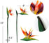 Large Bird of Paradise 32 Inch Permanent Flower ,Flower Stem 0.5 Inch ,UV Resistant No Fade Flower Part is Made of Soft Rubber PU,Artificial Flower Plants for Home Office 2 Pcs (Orange red)