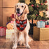 BINGPET Christmas Dog Bandanas - 3 Pack Plaid Pet Triangle Scarfs with Printing for Small Medium Large Dogs