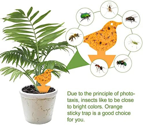 36 Pack Fruit Fly Gnat Traps for Indoor Outdoor Plants, Orange Fungus Gnats Killer for indoors Houseplants, Flying Insect Mosquitoes Catcher