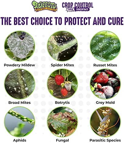 Trifecta Crop Control Super Concentrate All-in-One Natural Pesticide, Fungicide, Miticide, Insecticide, Help Defeat Spider Mites, Powdery Mildew, Botrytis, Mold, and More on Plants 4 OZ