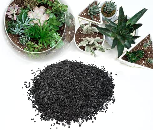 TerraGreen Creations - Horticultural Charcoal, Activated Hardwood Charcoal for Soil, Terrarium Supplies, Great for Conditioning Bonsai Soil, Succulent Soil, Indoor Plant Potting Soil (1qt.)