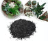 TerraGreen Creations - Horticultural Charcoal, Activated Hardwood Charcoal for Soil, Terrarium Supplies, Great for Conditioning Bonsai Soil, Succulent Soil, Indoor Plant Potting Soil (1qt.)