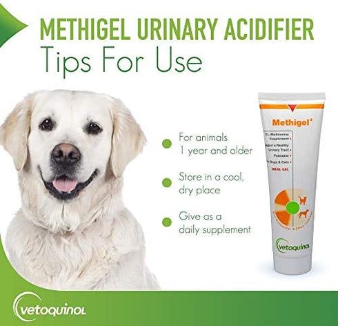 Methigel Urinary Acidifier 4.25 Oz Tube