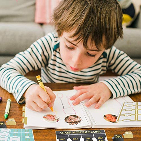 OWLKELA - 48 Pieces Self-Adhesive Month Stickers, Adhesive Tabs Designer Accessories Monthly Tabs Planner Stickers Decorative, Planner Tabs for Journal and Notebook